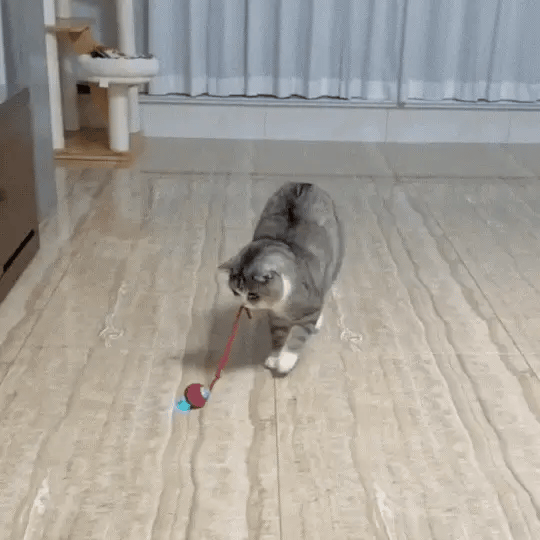 Mingea Jucăușă cu LED pentru Animale