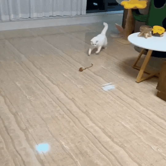 Oferta 1 + 1 Gratis - Minge Inteligentă pentru Pisici/Câini cu LED