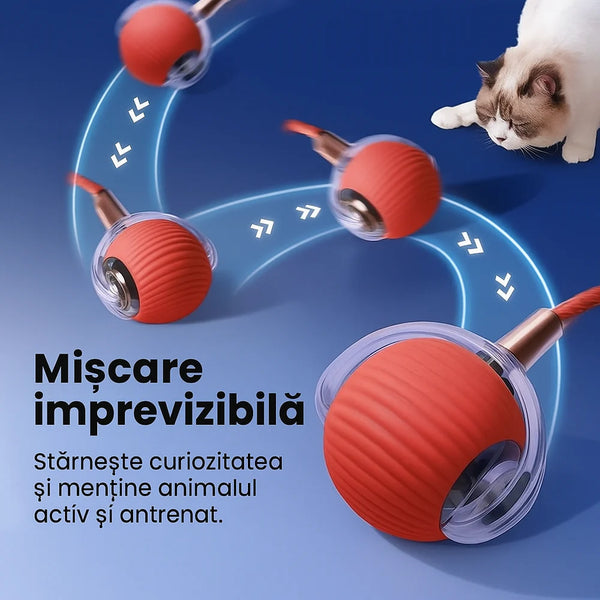 Mingea Jucăușă cu LED pentru Animale